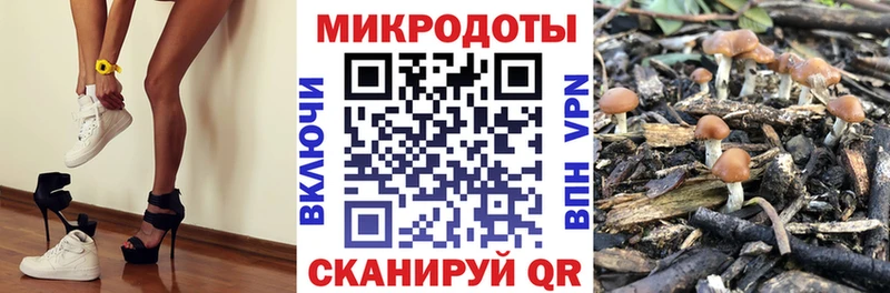 Галлюциногенные грибы мицелий  Дзержинский 