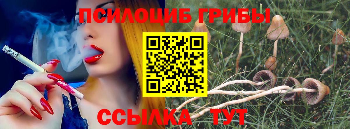 Галлюциногенные грибы Psilocybe Дзержинский